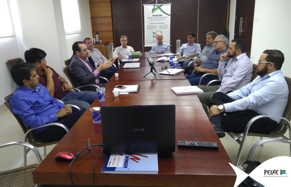 Exportação de pescado e Nova SEAP são temas de reunião da PEIXE BR