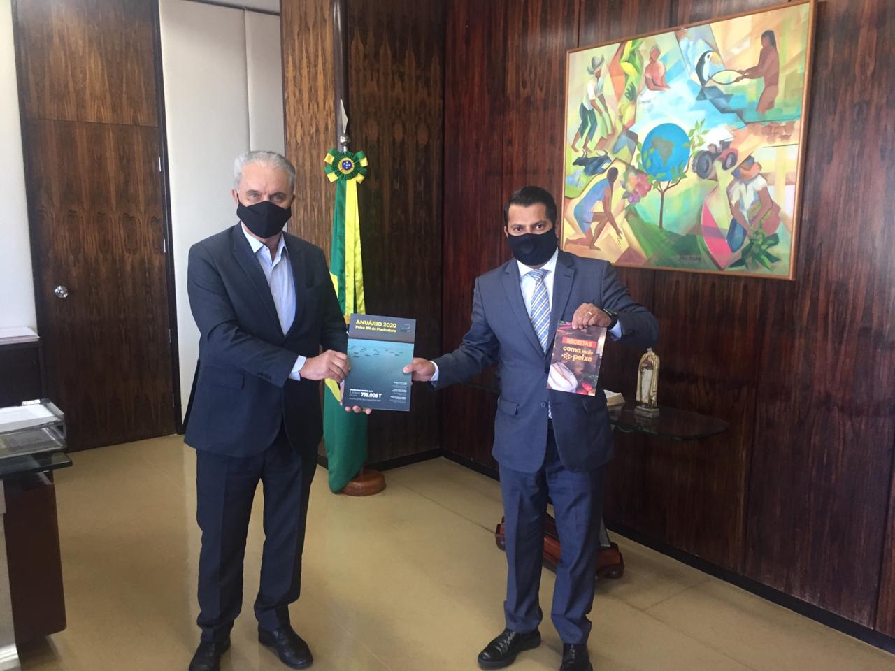 Diretoria da PEIXE BR se reúne com o Secretário Executivo do MAPA, Marcos Montes
