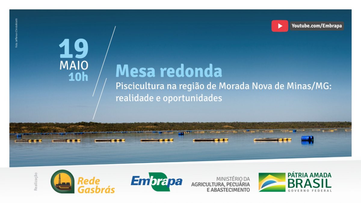 Peixe BR participa de live sobre piscicultura em Morada Nova (MG)